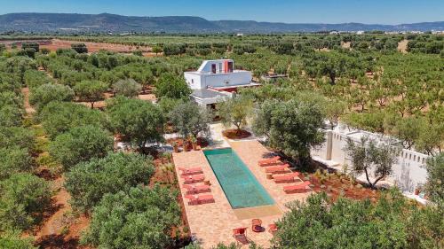 Speziale Apartment | TD Lamia Porta Rossa, Countryside with Olive Trees