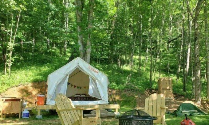 Roan Mountain RV Rental | Tentrr Signature Site - Greener Acres Roan Mountain View