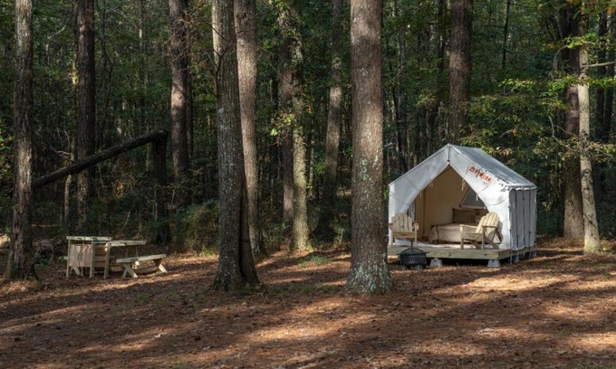 Morton Other | Tentrr State Park Site - Mississippi Roosevelt State Park - Tall Trees D - Single Camp