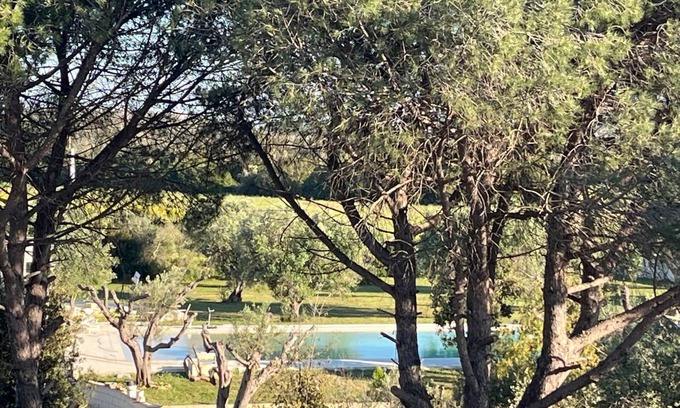 Borgagne Other | Tenute Masseria Notari