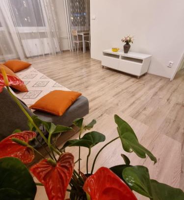 Teplice Apartment | TEPLA II