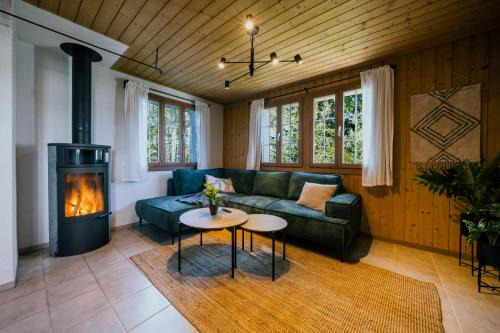 Axalp Apartment | The Alpine Nest on the Sunny Slope