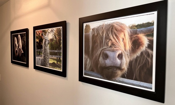 Chaska House | The Bavaria Farmhouse - 30 Acre Estate