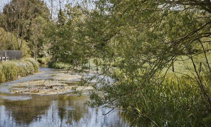 Corhampton Bed & Breakfast | The Bucks Head