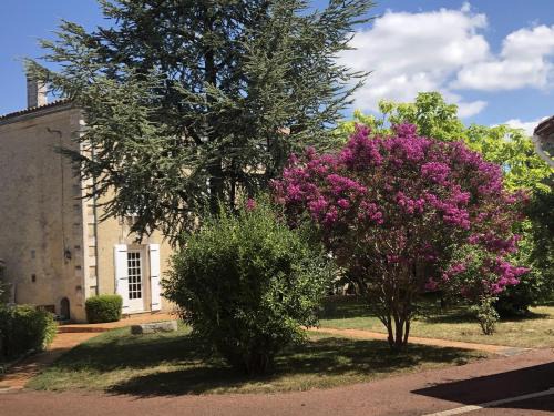 Coulonges Bed & Breakfast | The Cool Lounge à Coulonges - Charente