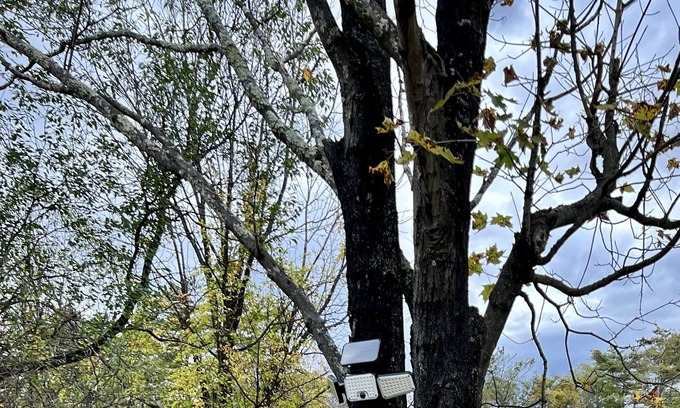 Saugerties Cottage | The Country Cottage