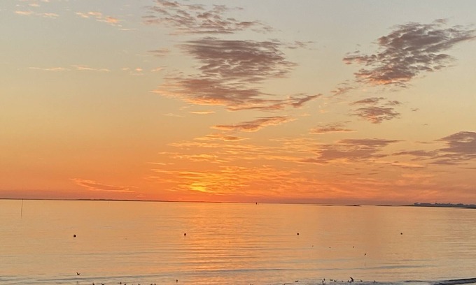 Sarzeau Apartment | The ermine at the top of the beach