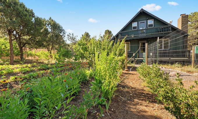 Baca Grande Cabin | The Green Gem