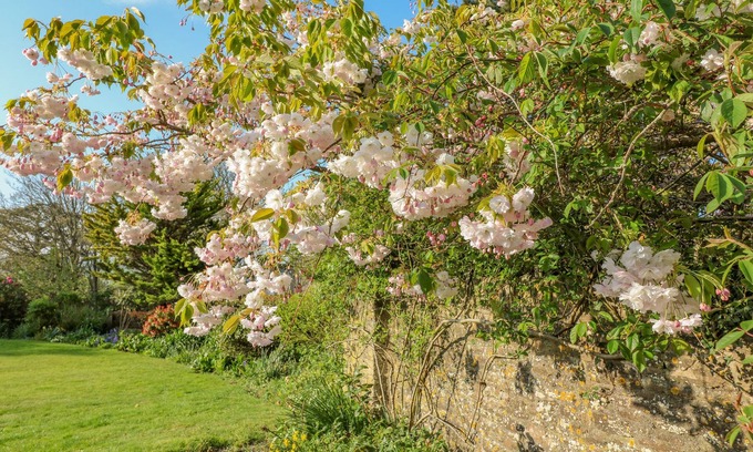 Thurlestone Cottage | The Hideaway