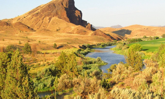 Mitchell Cottage | The Hollyhock Guest House - A peaceful sanctuary !