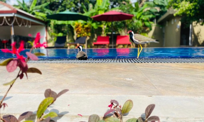 Negombo Resort | The Kingslayer Resort