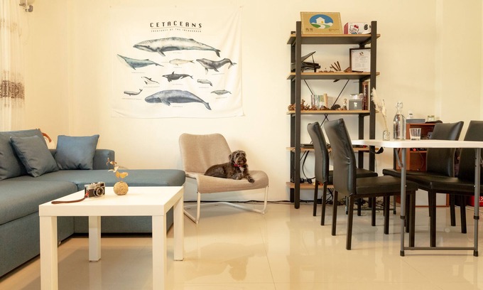 Taitung House | The Kite