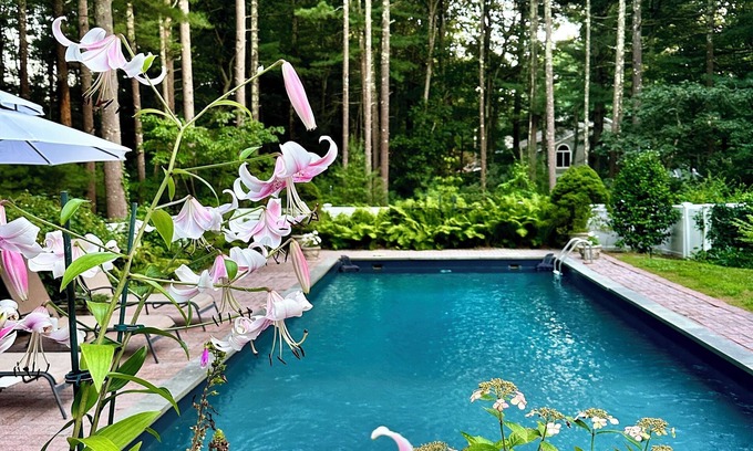 Northwest Harbor House | The Lady's Slipper in East Hampton