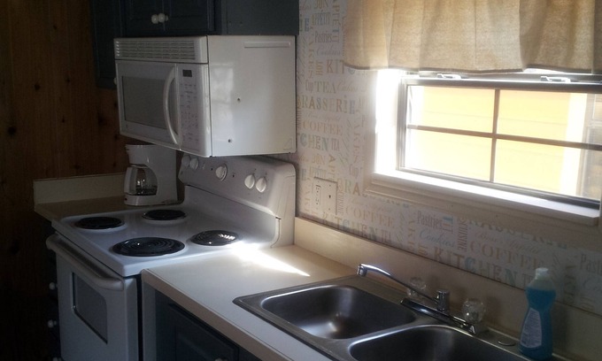 Williamson Cabin | The Lazy Shanty at Shale Lake #2 pet-friendly