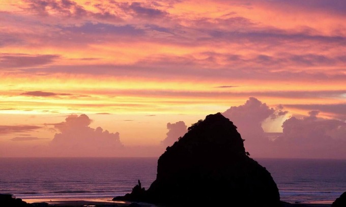 Piha House | The Little Louise's of Piha