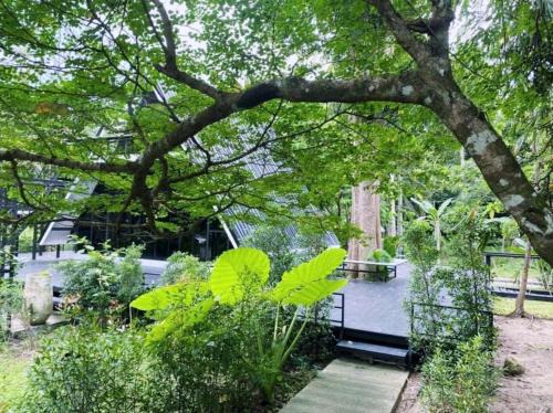 Lan Saka Bed & Breakfast | The Lodge At The Creek Haus