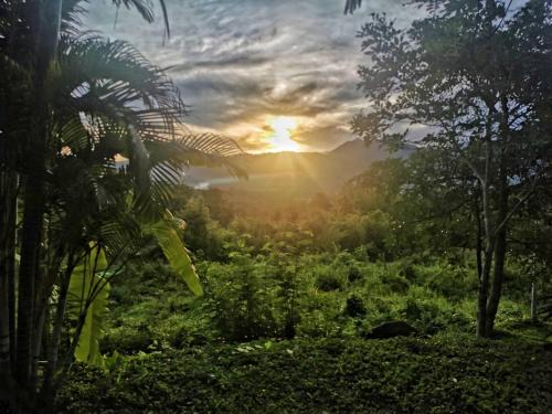 Pai House | The Lookout Pai