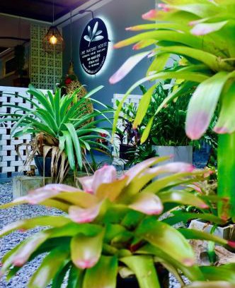 Krabi House | The Nature House Aonang Krabi Thailand