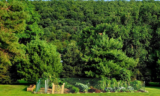 Huntingdon Bed & Breakfast | The Pause Bed & Breakfast