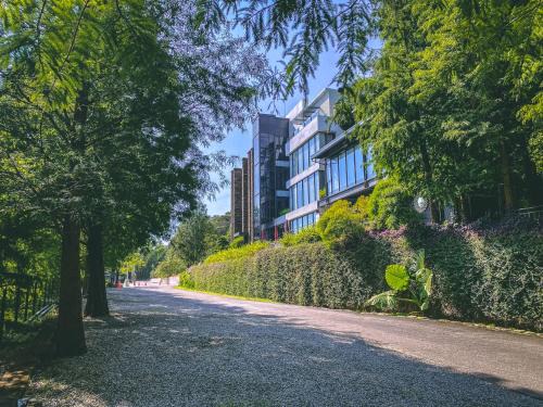 Xinshe Bed & Breakfast | The Pines