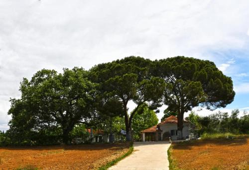 Ilida House | The Ranch of Ancient Ilida