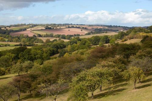 Rock Other | The shepherds hut at abberley glamping