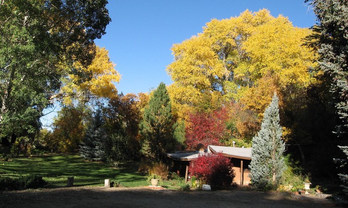 Valdez Cottage | The Sloping Porch Guest Cottage @ Rio Hondo Vally Alpacas-No Cleaning Fee