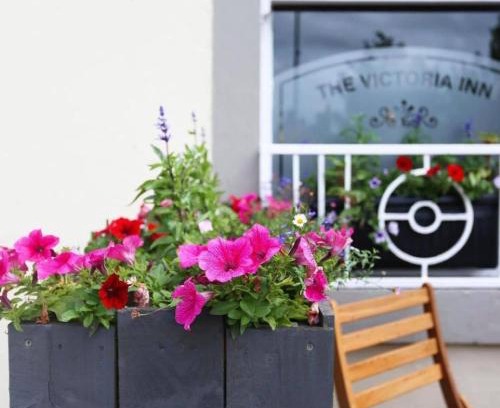 Haddington Hotel | The Victoria Inn