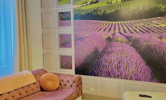 Mulhouse Apartment | The world of Provence in the heart of Mulhouse