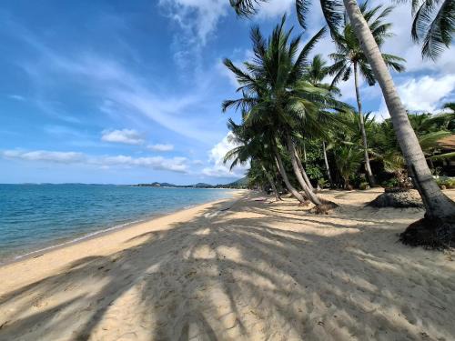 Mae Nam Hotel | Thiptara Resort - adults only