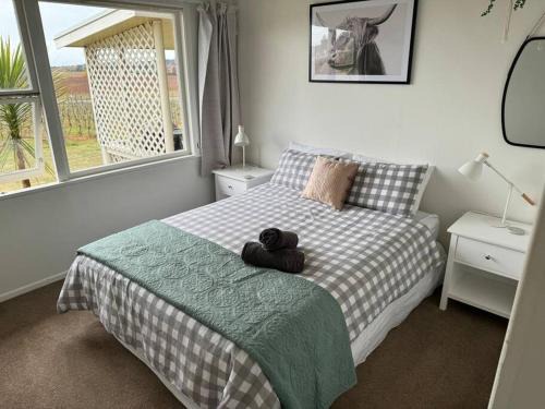 Havelock North House | Three Fifty Cottage