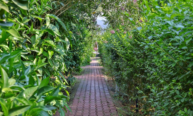 Cirali House | Three Islands Bungalow