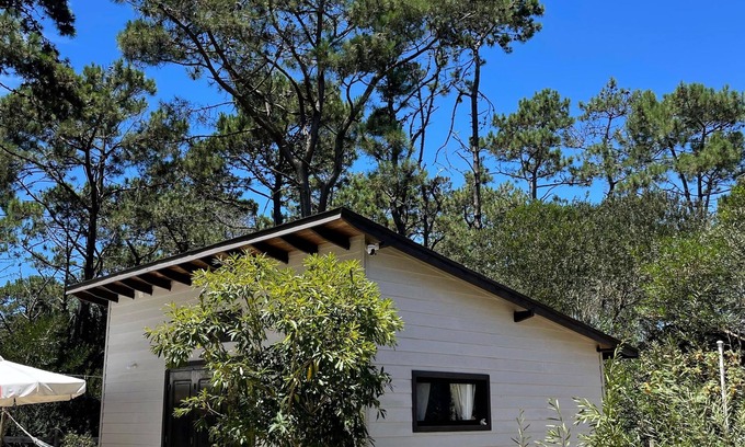 Rocha Apartment | Tiny Moor Laguna Garzón, 200 meters from the main beach.