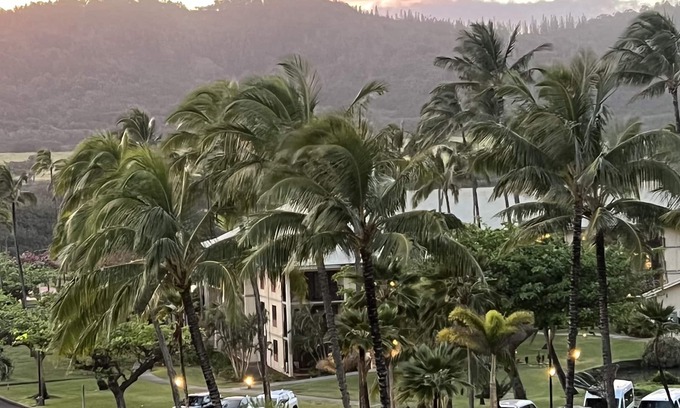 Hanamaulu Resort | TOP Floor- Resort Room on Beach with 4 Pools, AC, Restaurants, No Resort Fee!