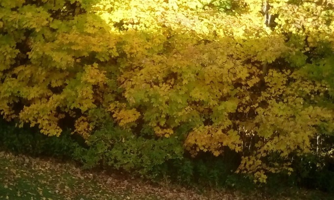 Beebe Plain Bed & Breakfast | Top of the Hill