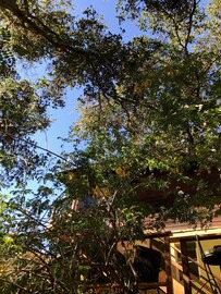 Topanga House | Topanga State Beach, view of Santa Monica Bay