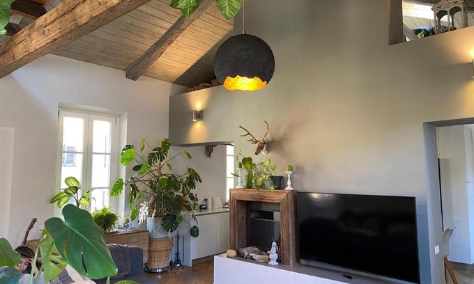 Roman Quarter Apartment | TOURinTURIN appartamento in Torino centro