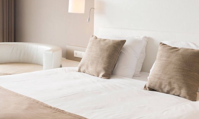 Wageningen Hotel | Tranquil Oasis Near Arboretum Belmonte, De Hoge Veluwe | Onsite Dining & Spa