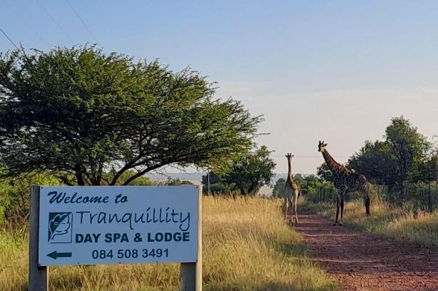 Cullinan House | Tranquillity Day Spa & Lodge