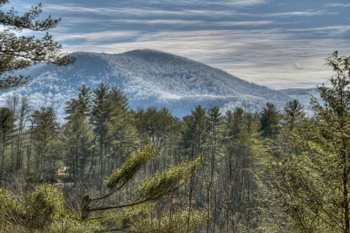 Hidden Lake House | Traveller - Cabin with Hot Tub and Mountain Views - Hot Tub, Mountain Views, Ping Pong Table, Modern Amenities - Cherry Log, GA