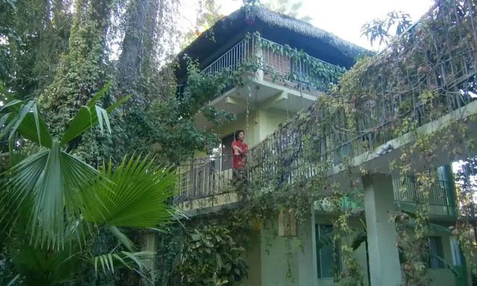 San Jose del Cabo Bed & Breakfast | Traveller's place with the best location!nn