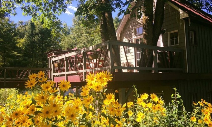 Gloversville Cabin | Tree house lots birds great location . . lots to do all summer long .