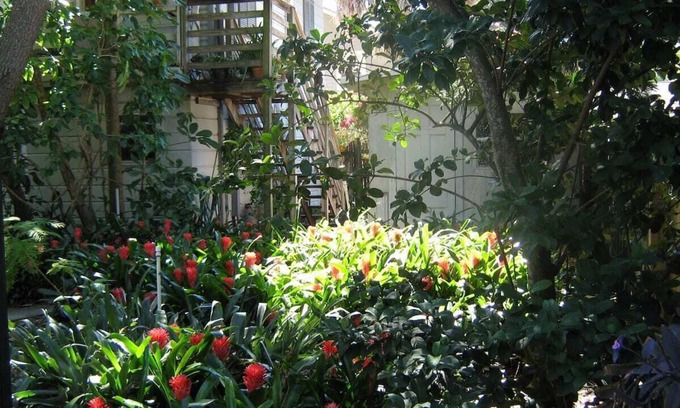 Historic Uptown Apartment | Treehouse 1BR Apt. Near Downtown, Monthly Only
