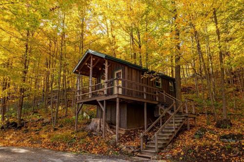 Riverton House | Treehouse Cabin in Riverton, WV