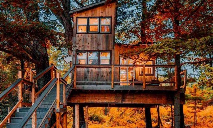 Willington Cabin | Treehouse - Countryside - Farm Animals - Fire Pit