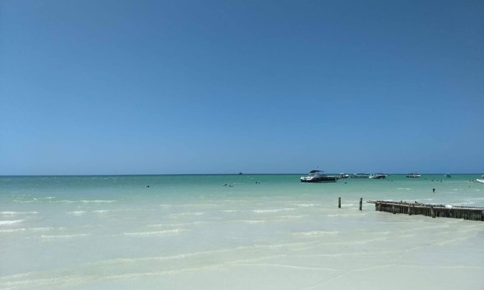 Isla Holbox Cabin | TreeHouse EcoChic/3 min walk beach/Wifi/AC/kitchen/King Size Bed