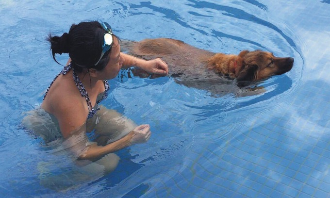 Shanjiao Bed & Breakfast | True Love Villa