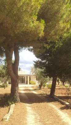 Racale Apartment | Trullo Contrada Specchi