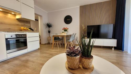 Bydgoszcz Apartment | Trzypokojowy apartament z parkingiem