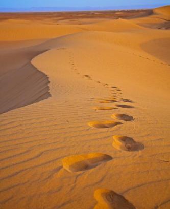 Wotton Apartment | Two and Three Bedroom at GoBajac